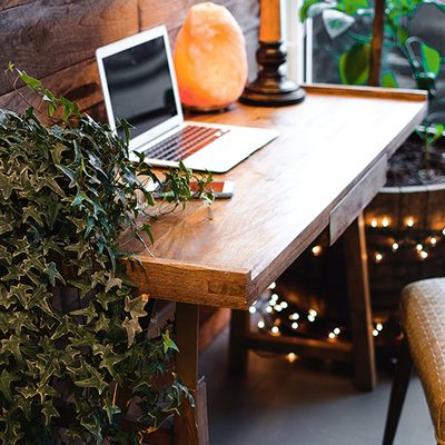 A laptop open on a wooden desk beside plants and a lamp