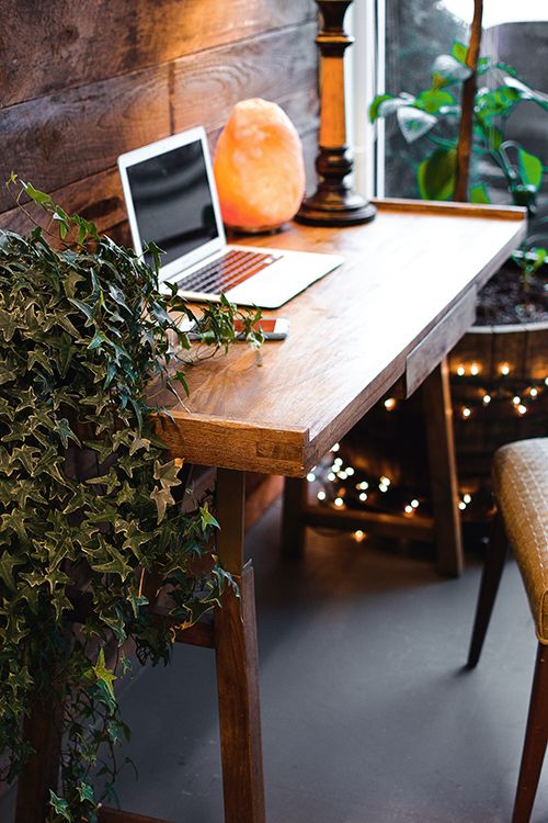A laptop open on a wooden desk beside plants and a lamp
