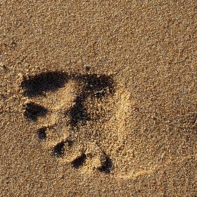 A footprint in the sand